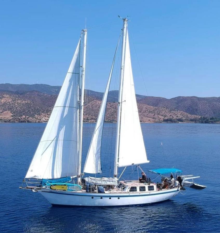 Fantastico Velero En Barcelona Hotel Sant Adria de Besos Kültér fotó